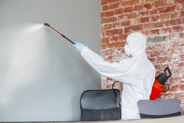 Best Dehumidification Services  in Wilkshire Hills, OH