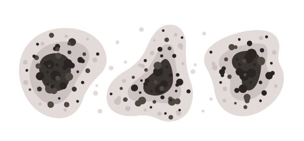 Best Air Quality Testing for Mold Spores  in Wilkshire Hills, OH