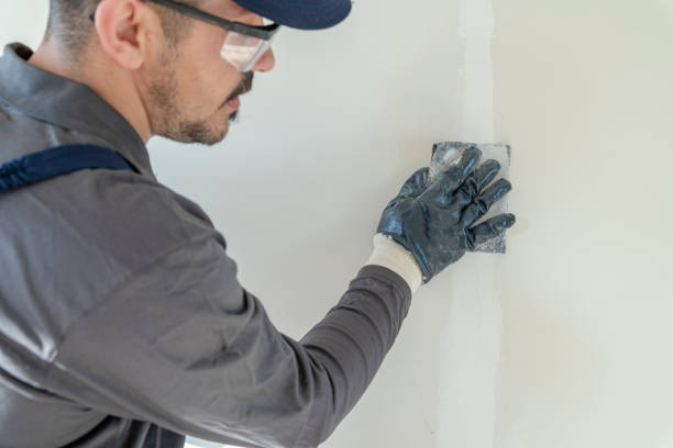 Best Mold-Related Health Consultation  in Wilkshire Hills, OH