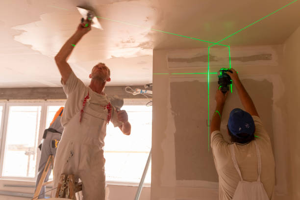 Professional Mold Removal in Wilkshire Hills, OH